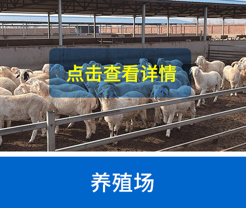 1748223680418272.png 1748223680418272.png